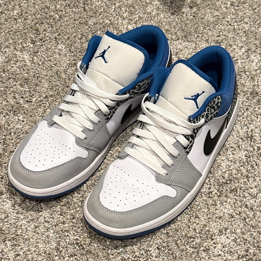 Blue and White Air Jordan 1 SE true blue size 11